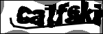 متن برای شناسایی
